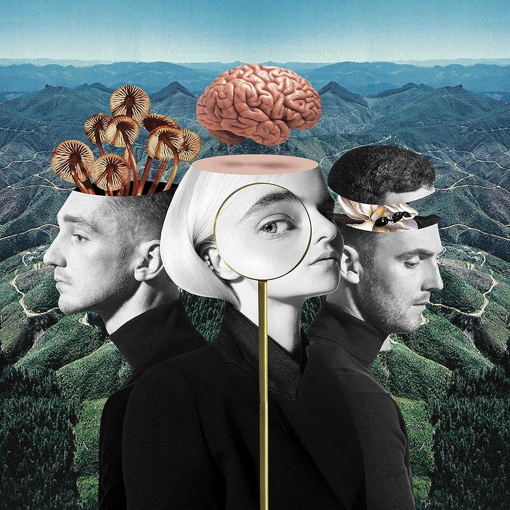CLEAN BANDIT/WHAT IS LOVE